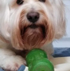 Meet your Posher, Lisa